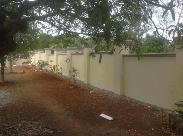 view of the garden wall with plants