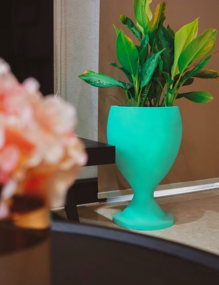 A plant in a vase on the table